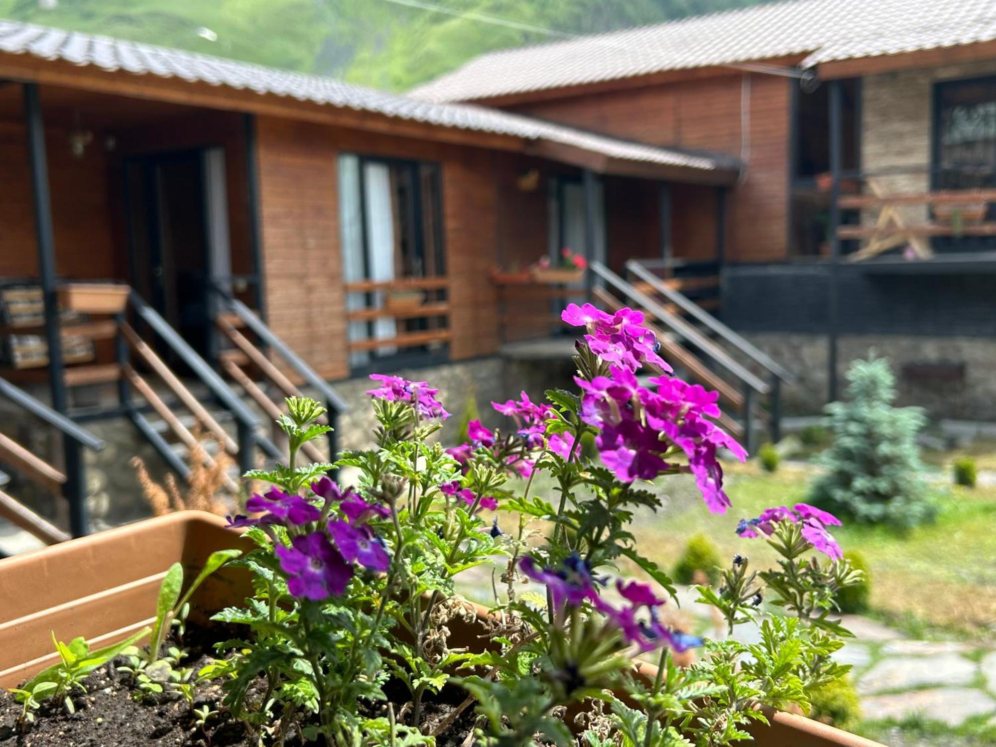 Panorama Cottages 카즈베기 외부 사진